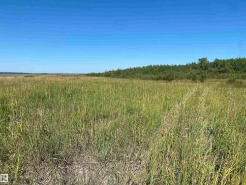 View of nature with rural landscape - 400 51551Range Road 212A, Rural Strathcona County, AB 