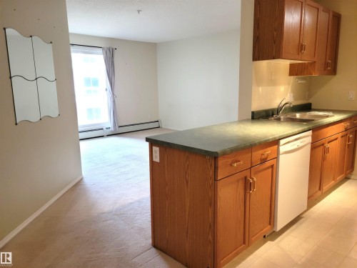 312 10511 42 Avenue, Edmonton, AB - Indoor Photo Showing Kitchen With Double Sink