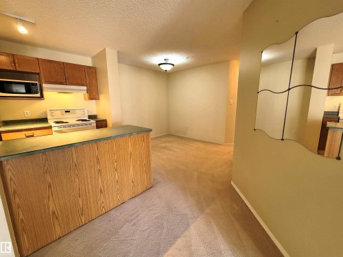 312 10511 42 Avenue, Edmonton, AB - Indoor Photo Showing Kitchen