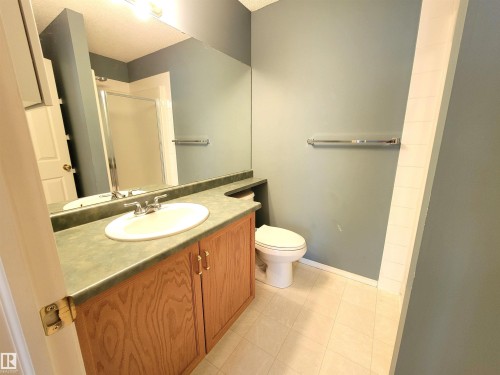 312 10511 42 Avenue, Edmonton, AB - Indoor Photo Showing Bathroom