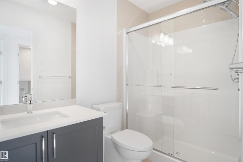 20608 27 Avenue, Edmonton, AB - Indoor Photo Showing Bathroom