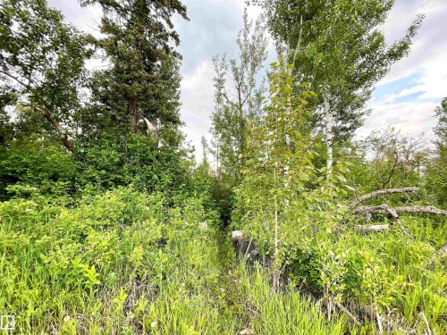 14 3090 Cameron Heights Way, Edmonton, AB - Outdoor