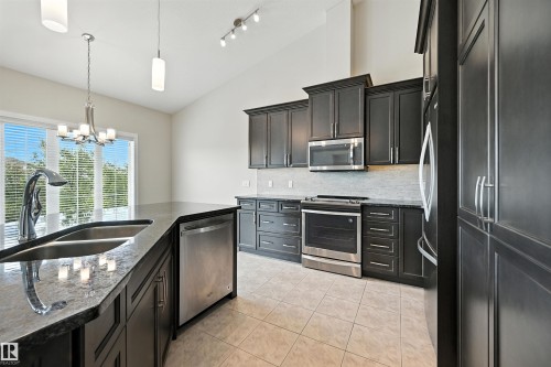 14 3090 Cameron Heights Way, Edmonton, AB - Indoor Photo Showing Kitchen With Double Sink With Upgraded Kitchen