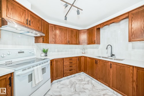 15571 59A Street, Edmonton, AB - Indoor Photo Showing Kitchen With Double Sink