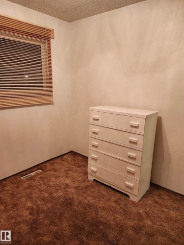 16050 95 Avenue, Edmonton, AB - Indoor Photo Showing Other Room