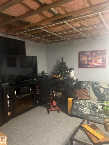 16050 95 Avenue, Edmonton, AB - Indoor Photo Showing Basement