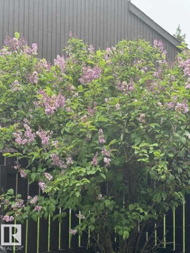 2419 142 Avenue, Edmonton, AB - Outdoor