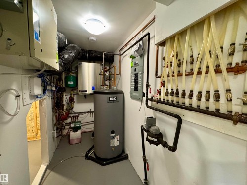 11306 89 Street, Edmonton, AB - Indoor Photo Showing Basement