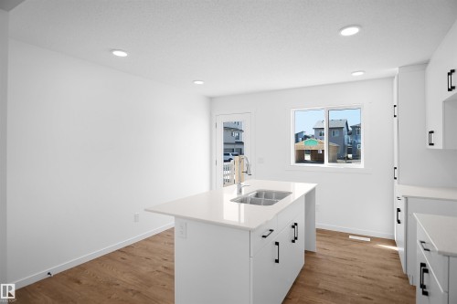 2115 210 Street, Edmonton, AB - Indoor Photo Showing Kitchen With Double Sink