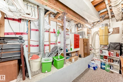 229 Warwick Road, Edmonton, AB - Indoor Photo Showing Basement