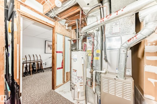 229 Warwick Road, Edmonton, AB - Indoor Photo Showing Basement