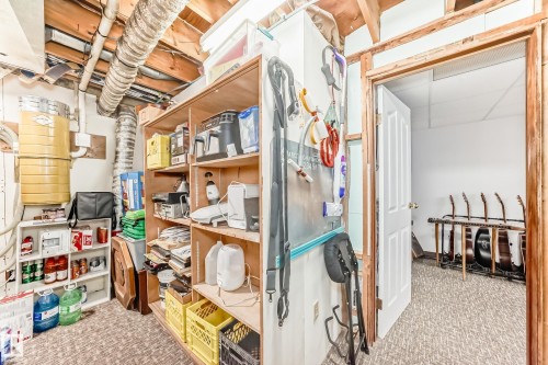 229 Warwick Road, Edmonton, AB - Indoor Photo Showing Basement