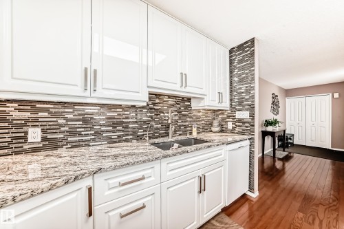 229 Warwick Road, Edmonton, AB - Indoor Photo Showing Kitchen With Double Sink With Upgraded Kitchen