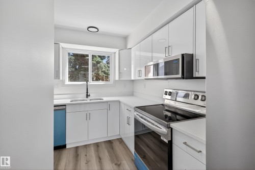 17136 100 Street, Edmonton, AB - Indoor Photo Showing Kitchen With Double Sink