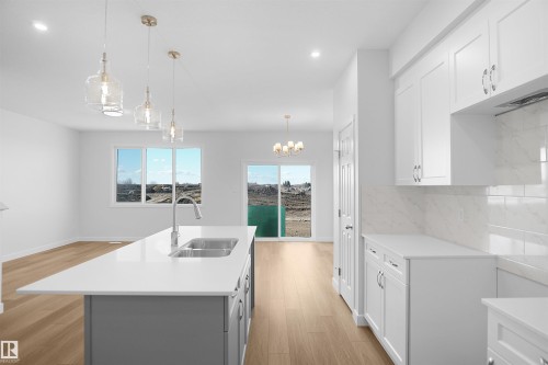 2124 210 Street, Edmonton, AB - Indoor Photo Showing Kitchen With Double Sink