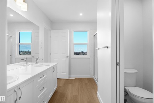2124 210 Street, Edmonton, AB - Indoor Photo Showing Bathroom
