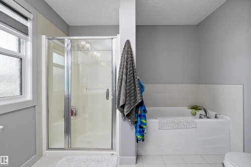 9852 224 Street, Edmonton, AB - Indoor Photo Showing Bathroom