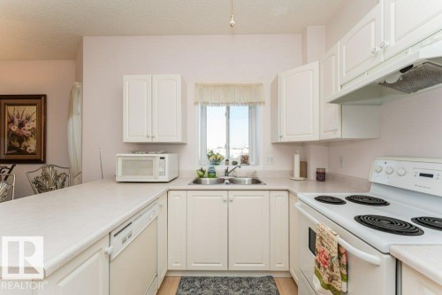 205 11308 130 Avenue, Edmonton, AB - Indoor Photo Showing Kitchen With Double Sink