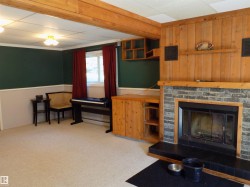 Living room with light colored carpet, wood walls, a glass covered fireplace, and a drop ceiling - 