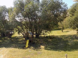 View of grassy yard with view of wooded area - 