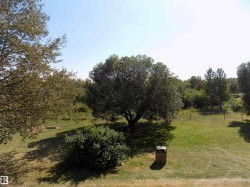 View of green lawn - 