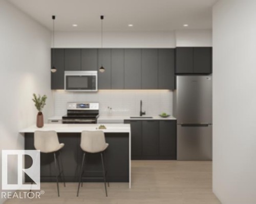 9523 86 Street, Edmonton, AB - Indoor Photo Showing Kitchen With Upgraded Kitchen