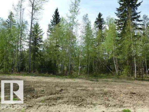 11 Fraser Drive, Breton, AB 