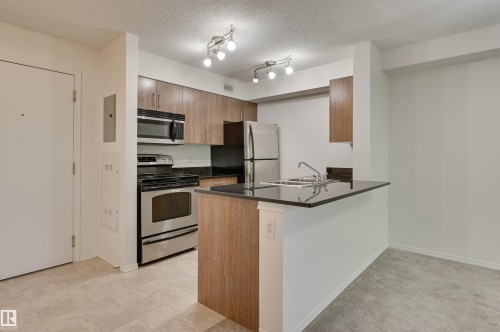 303 530 Watt Boulevard, Edmonton, AB - Indoor Photo Showing Kitchen With Stainless Steel Kitchen
