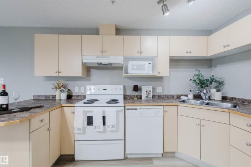 436 11325 83 Street, Edmonton, AB - Indoor Photo Showing Kitchen With Double Sink