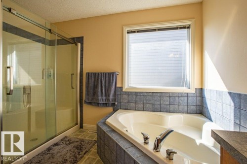 1119 114 Street, Edmonton, AB - Indoor Photo Showing Bathroom