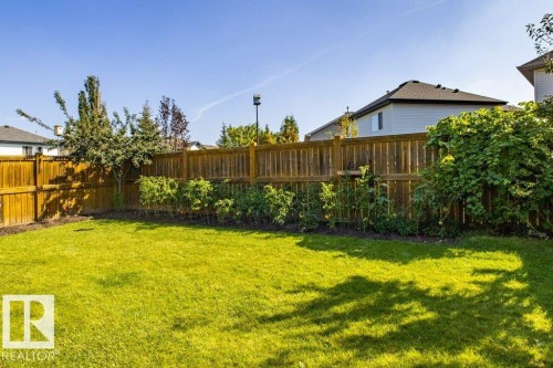 1119 114 Street, Edmonton, AB - Outdoor With Backyard