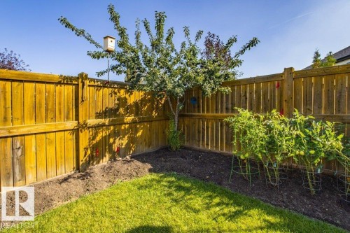 1119 114 Street, Edmonton, AB - Outdoor