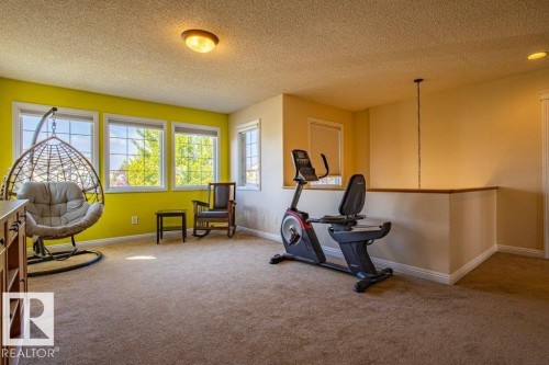 1119 114 Street, Edmonton, AB - Indoor Photo Showing Gym Room