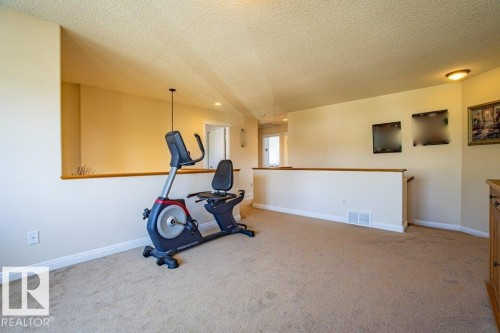 1119 114 Street, Edmonton, AB - Indoor Photo Showing Gym Room
