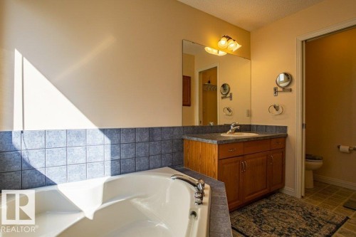 1119 114 Street, Edmonton, AB - Indoor Photo Showing Bathroom