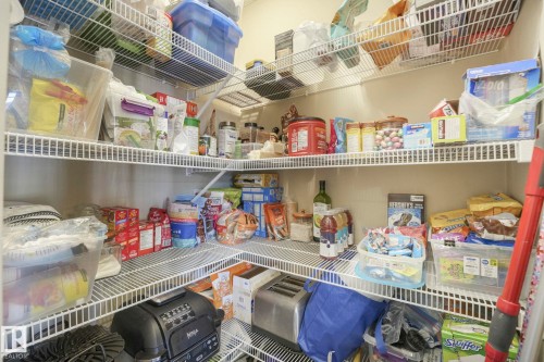 View of pantry - 6819 Cardinal Link, Edmonton, AB - Indoor With Storage