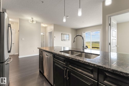 414 507 Albany Way, Edmonton, AB - Indoor Photo Showing Kitchen With Double Sink