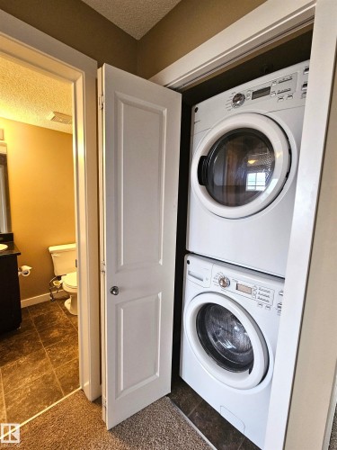 313 1510 Watt Drive, Edmonton, AB - Indoor Photo Showing Laundry Room