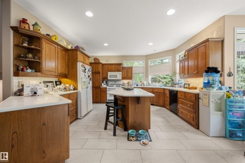 403 Twin Brooks Crescent, Edmonton, AB - Indoor Photo Showing Kitchen