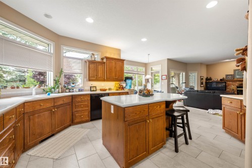 403 Twin Brooks Crescent, Edmonton, AB - Indoor Photo Showing Kitchen With Double Sink
