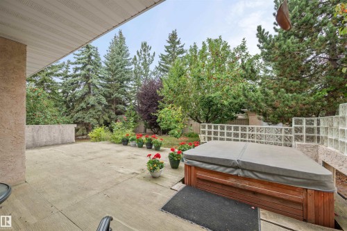 403 Twin Brooks Crescent, Edmonton, AB - Outdoor