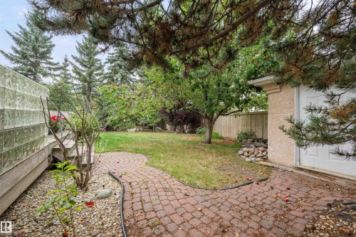 403 Twin Brooks Crescent, Edmonton, AB - Outdoor