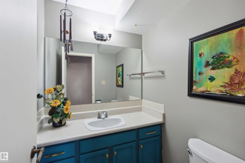 305 8707 107 Street, Edmonton, AB - Indoor Photo Showing Bathroom