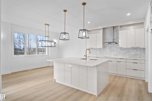 3620 6 Street, Edmonton, AB - Indoor Photo Showing Kitchen With Upgraded Kitchen