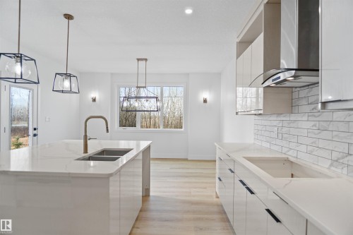 3620 6 Street, Edmonton, AB - Indoor Photo Showing Kitchen With Double Sink With Upgraded Kitchen