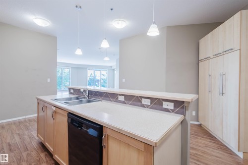 223 4831 104A Street, Edmonton, AB - Indoor Photo Showing Kitchen With Double Sink