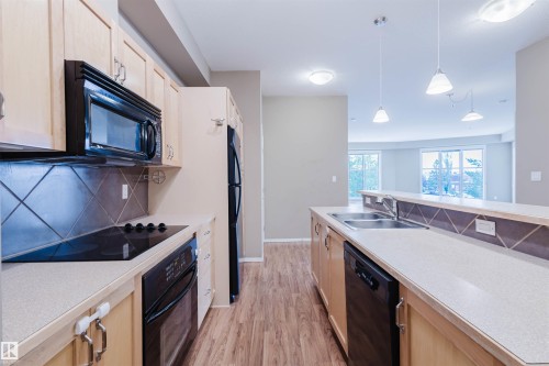 223 4831 104A Street, Edmonton, AB - Indoor Photo Showing Kitchen With Double Sink