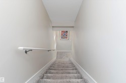 Stairs with a textured ceiling and carpet - 