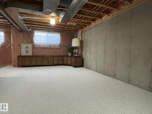 20 1225 Wanyandi Road, Edmonton, AB - Indoor Photo Showing Basement