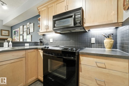 305 9819 96A Street, Edmonton, AB - Indoor Photo Showing Kitchen